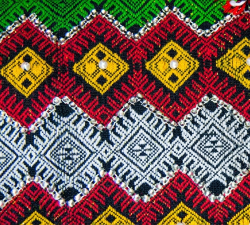 Idu Mishmi