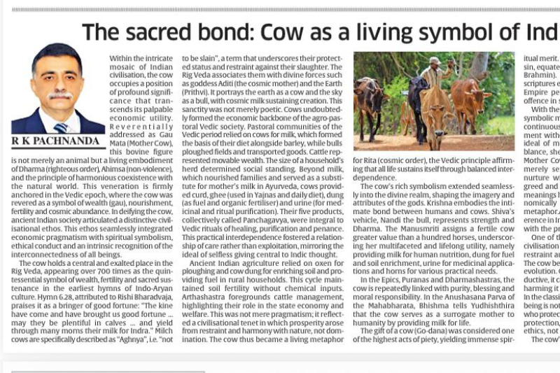 The sacred bond: Cow as a living symbol of Indian civilisational ethos