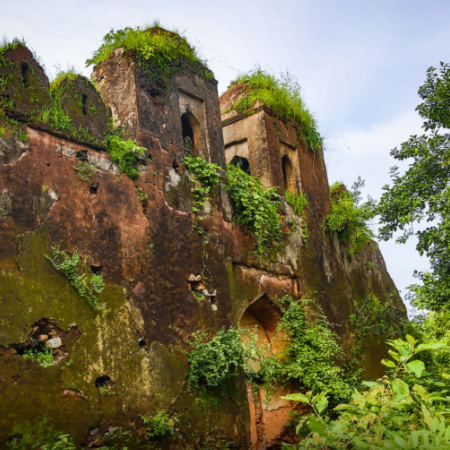 Palamu Fort