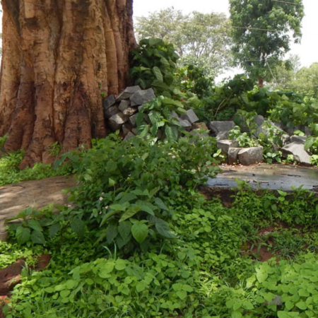 Asura Sites