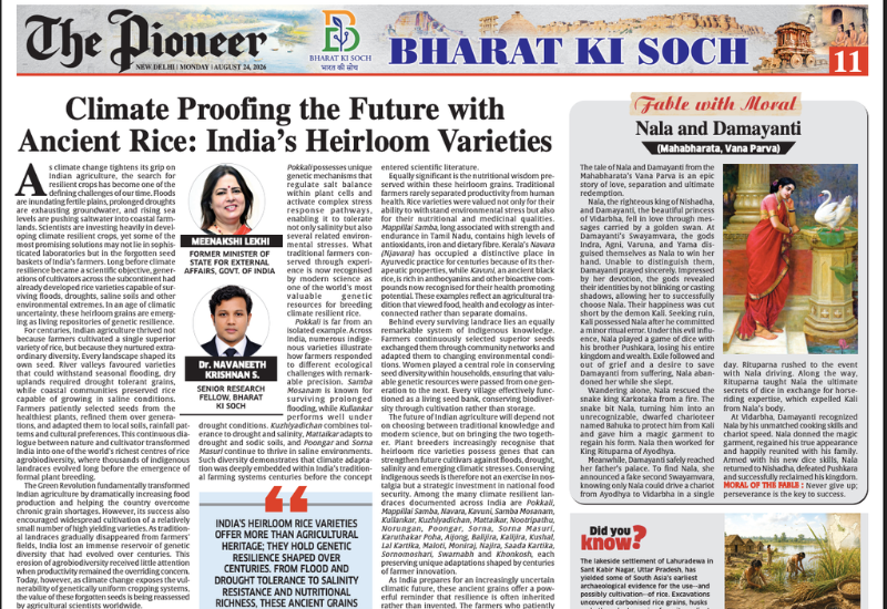 Climate Proofing the Future with Ancient Rice: India’s Heirloom Varieties